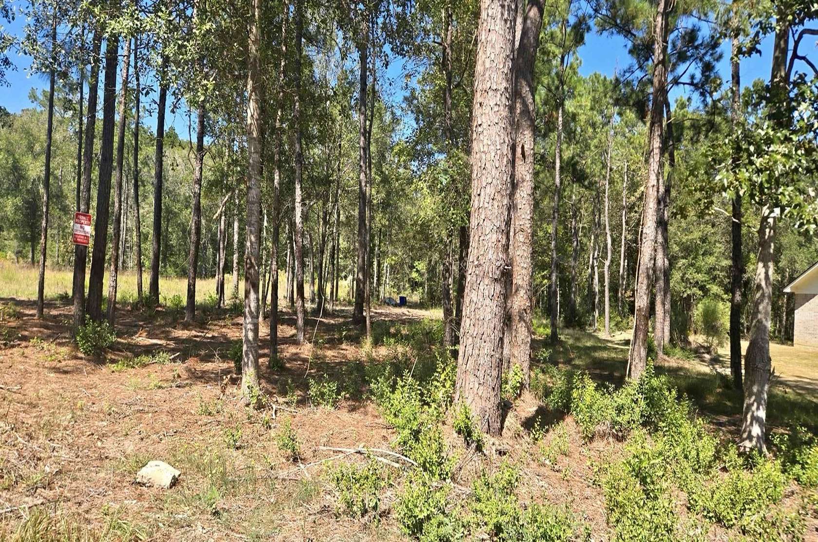 1.28 Acres of Residential Land for Sale in Lumberton, Texas