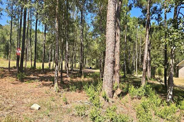 1.28 Acres of Residential Land for Sale in Lumberton, Texas