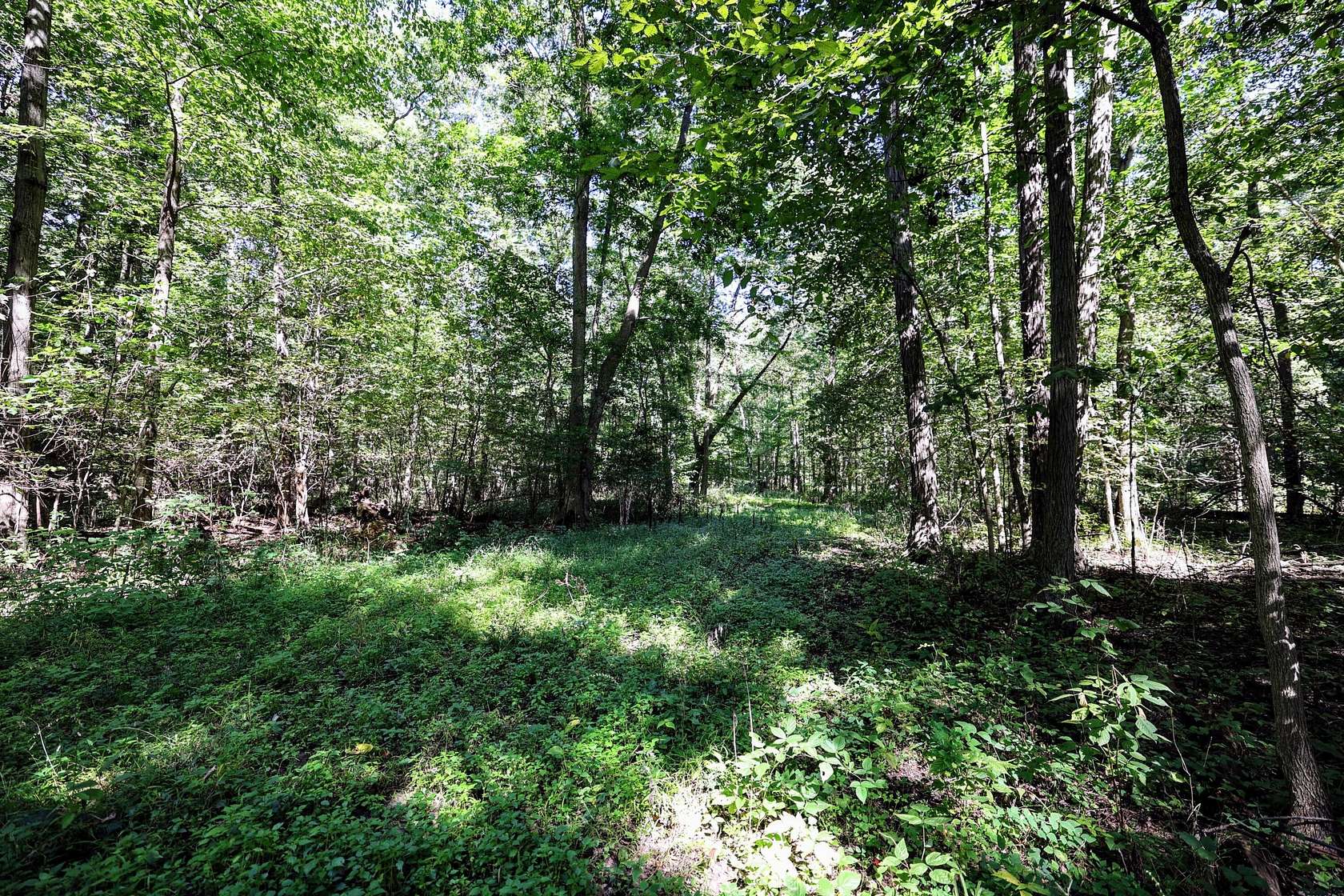 50 Acres of Land for Sale in Leonidas, Michigan
