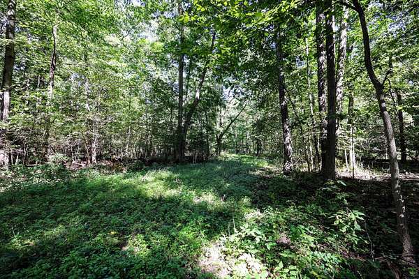 50 Acres of Land for Sale in Leonidas, Michigan
