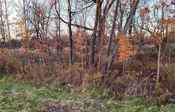 3 Acres of Residential Land for Sale in Clarence, New York