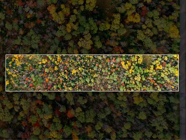 10 Acres of Land for Sale in Ewen, Michigan