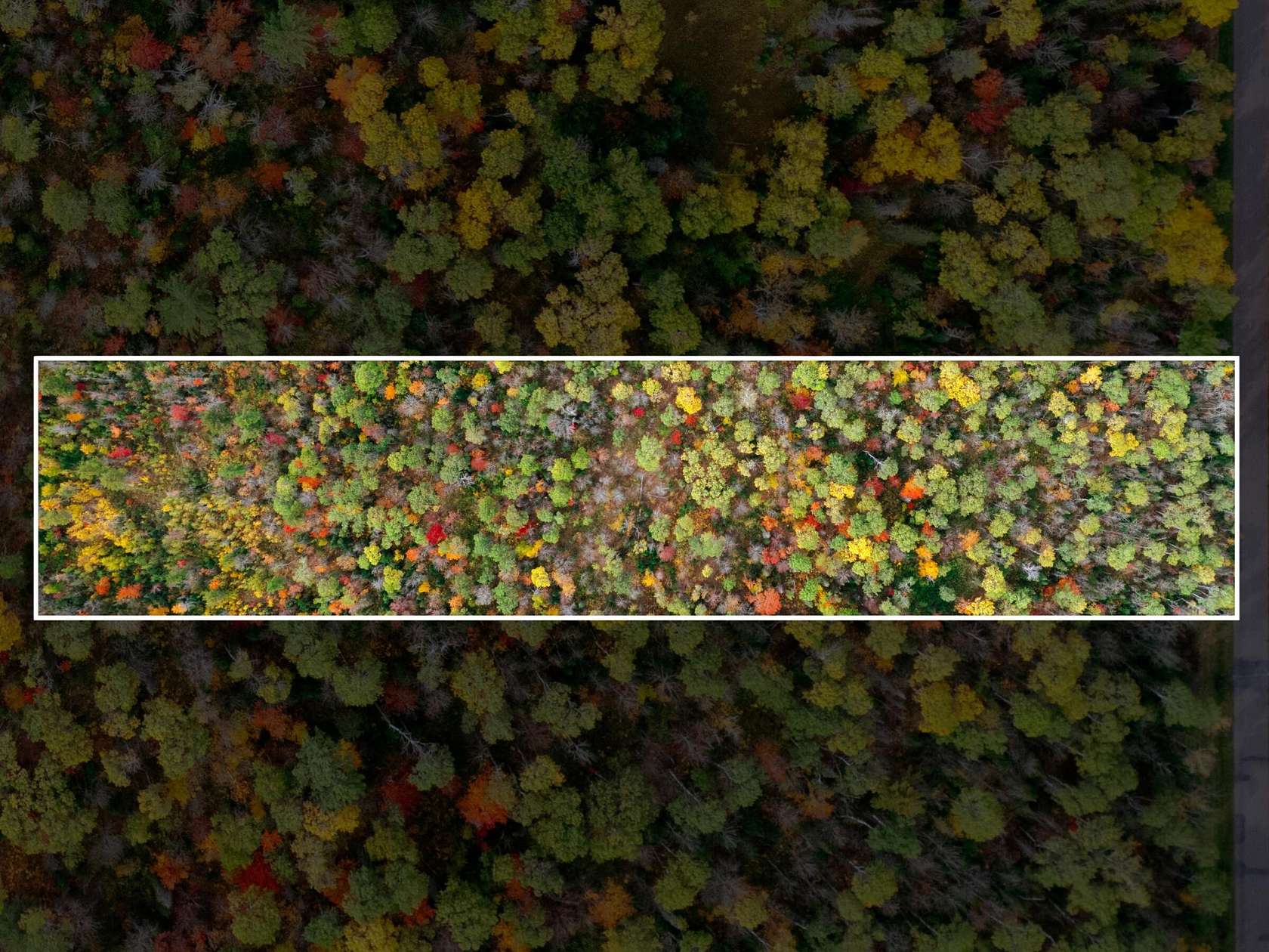10 Acres of Land for Sale in Ewen, Michigan