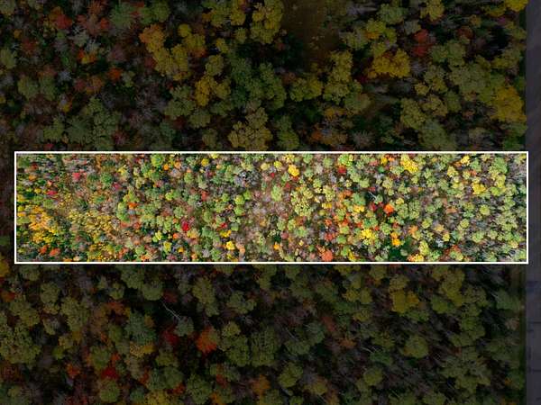 10 Acres of Land for Sale in Ewen, Michigan