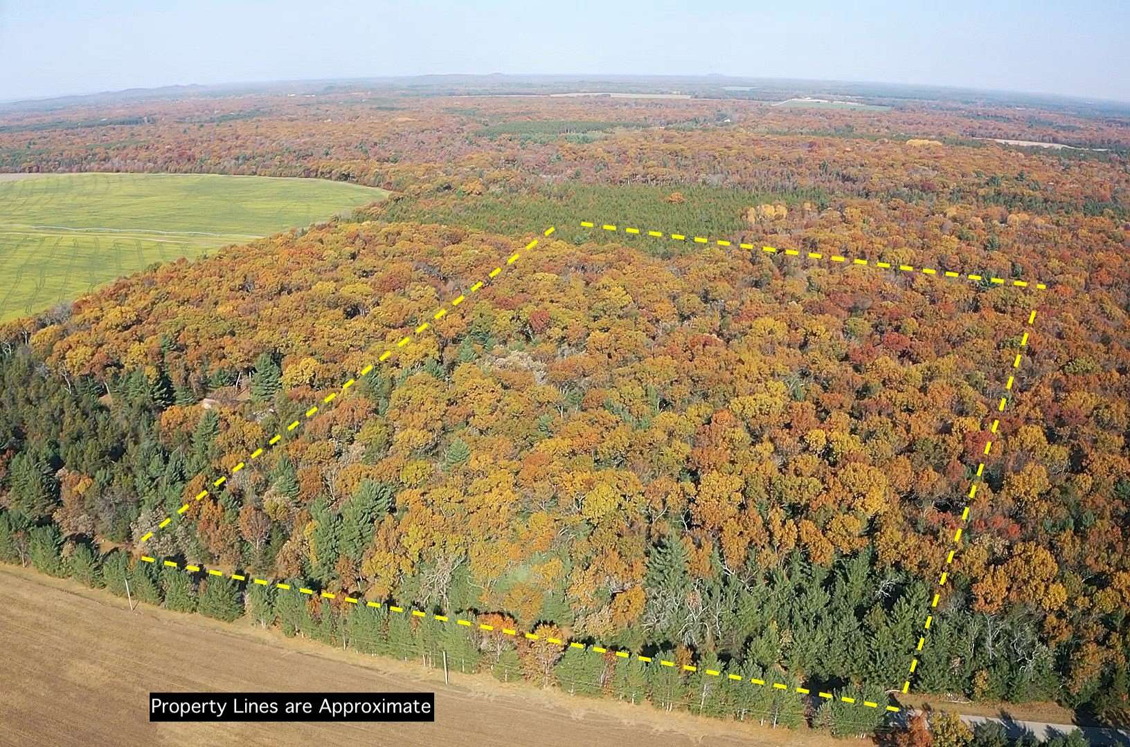 20 Acres of Recreational Land for Sale in Grand Marsh, Wisconsin