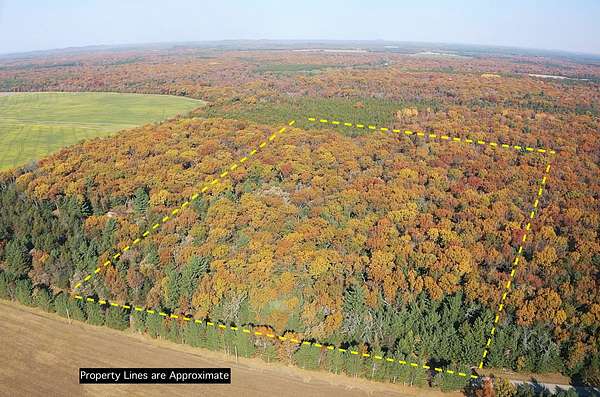 20 Acres of Recreational Land for Sale in Grand Marsh, Wisconsin