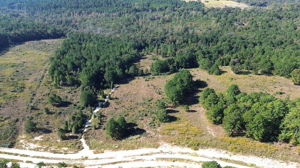 10 Acres of Recreational & Residential Land for Sale in Grapeland, Texas