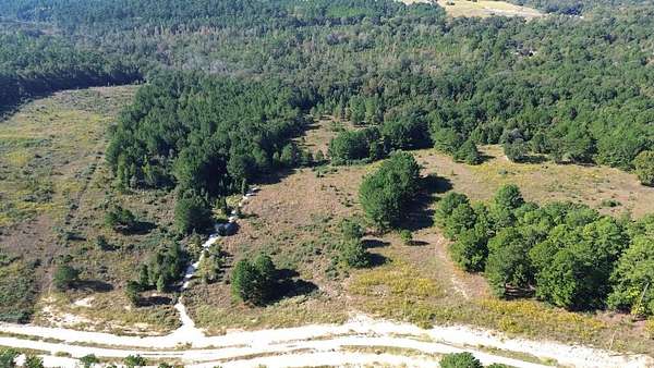 10 Acres of Recreational & Residential Land for Sale in Grapeland, Texas