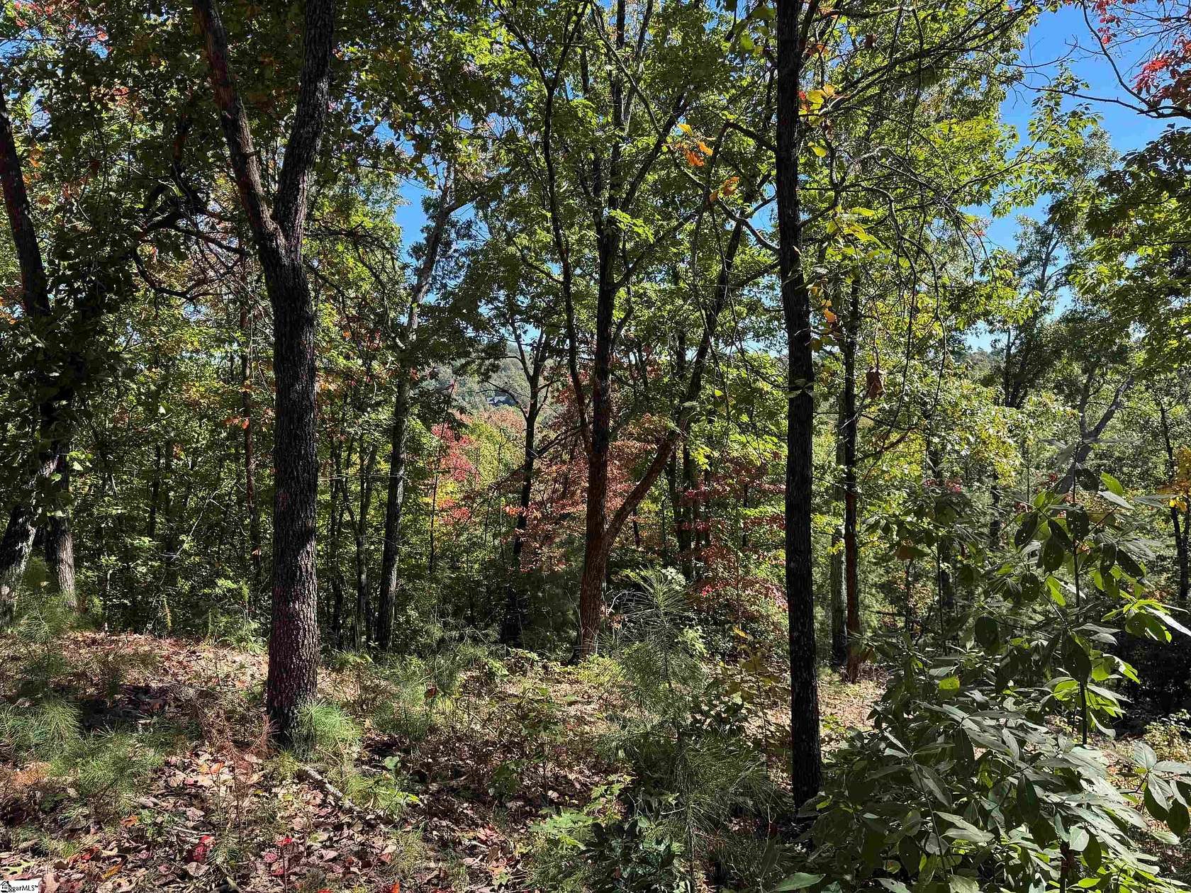 1.76 Acres of Residential Land for Sale in Marietta, South Carolina