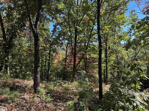 1.76 Acres of Residential Land for Sale in Marietta, South Carolina