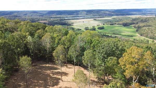 20 Acres of Land for Sale in Grant, Alabama