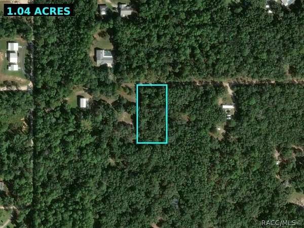 1 Acre of Residential Land for Sale in Hernando, Florida