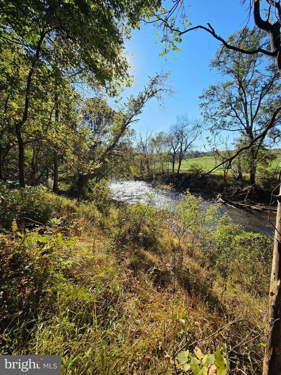 14 Acres of Land for Sale in Rixeyville, Virginia