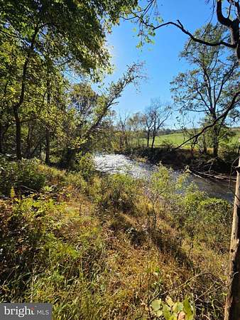 14 Acres of Land for Sale in Rixeyville, Virginia