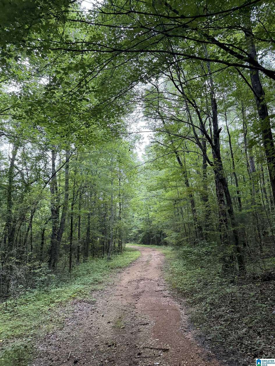 17 Acres of Recreational & Residential Land for Sale in Columbiana, Alabama
