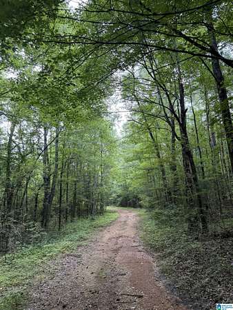17 Acres of Recreational & Residential Land for Sale in Columbiana, Alabama
