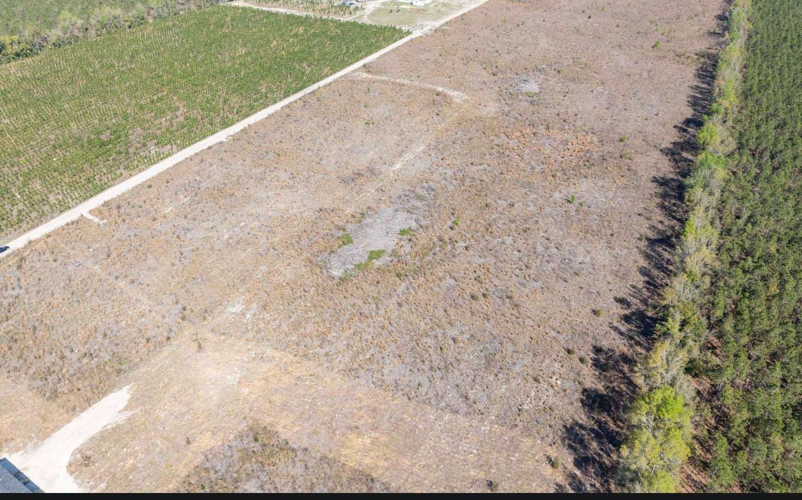 15 Acres of Land for Sale in Live Oak, Florida