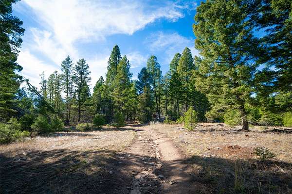 60.8 Acres of Recreational Land for Sale in Whitehall, Montana