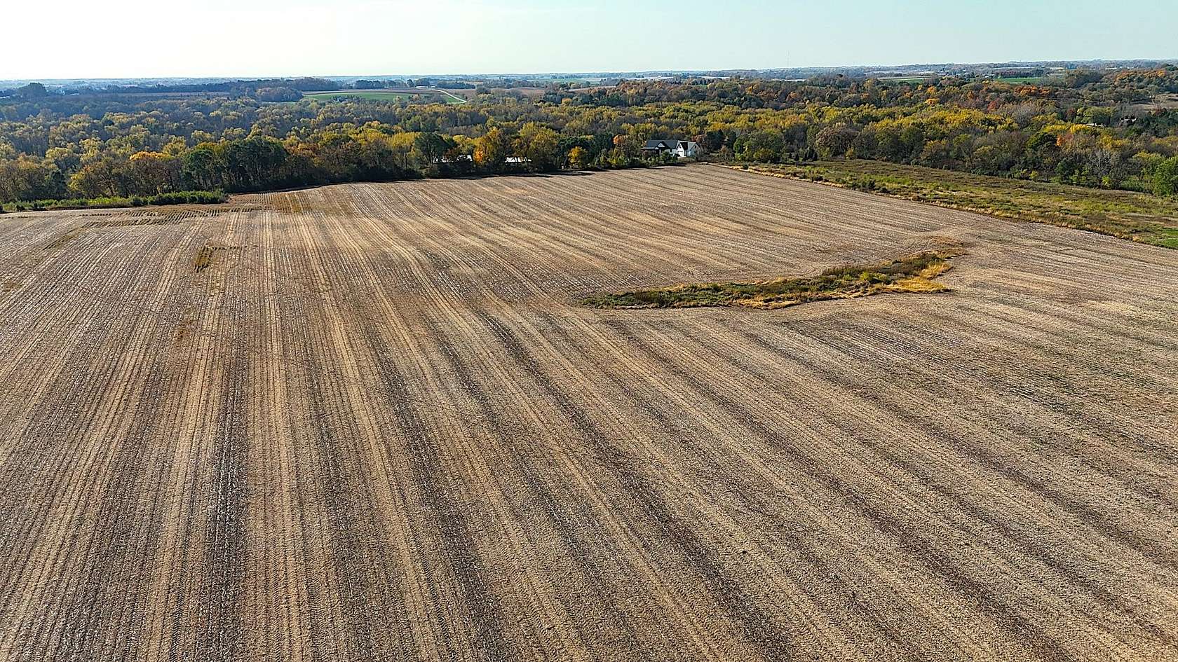 33.3 Acres of Agricultural & Residential Land for Sale in Waverly, Minnesota
