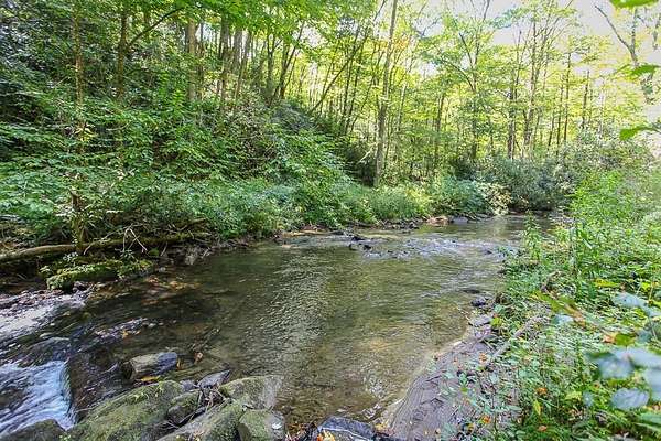 294 Acres of Recreational Land for Sale in Robbinsville, North Carolina