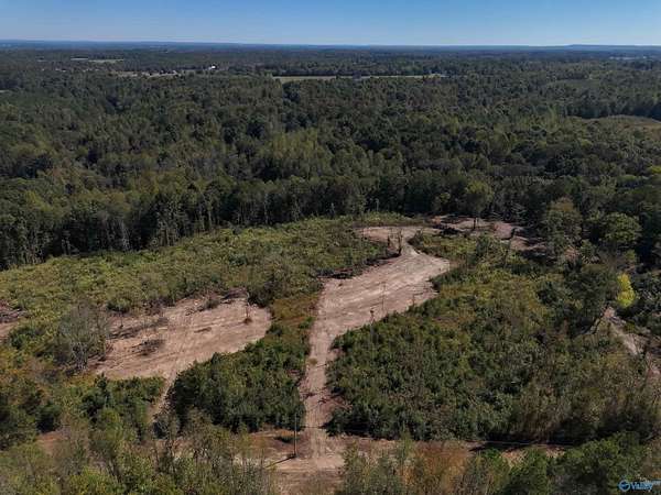 5 Acres of Residential Land for Sale in Pisgah, Alabama