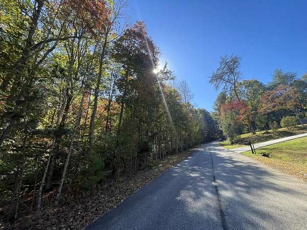 1 Acre of Residential Land for Sale in Blairsville, Georgia