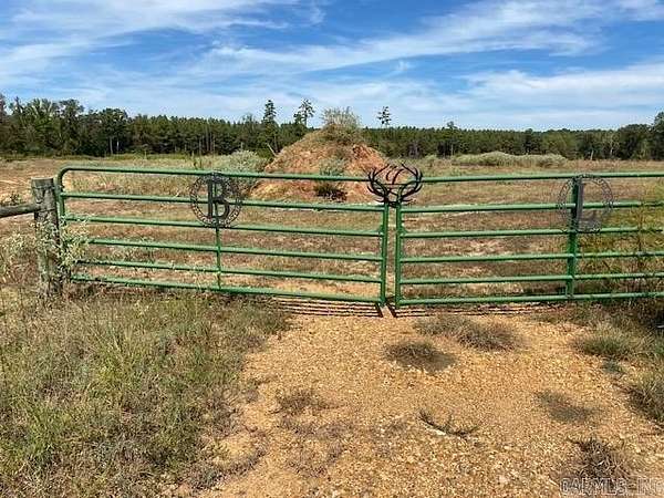 35.3 Acres of Land for Sale in Ashdown, Arkansas