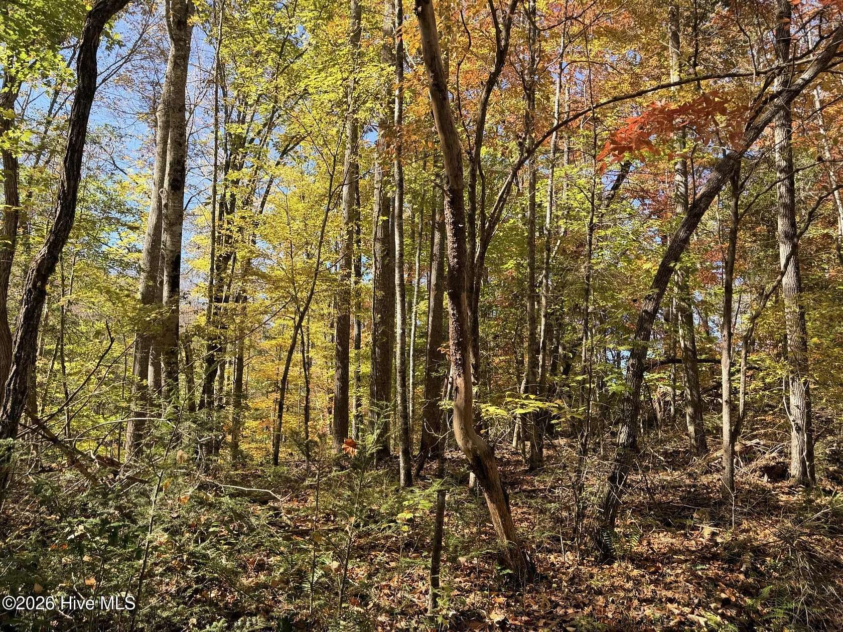 0.62 Acres of Residential Land for Sale in Topton, North Carolina