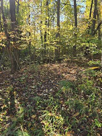 0.43 Acres of Land for Sale in Hillsdale, Michigan