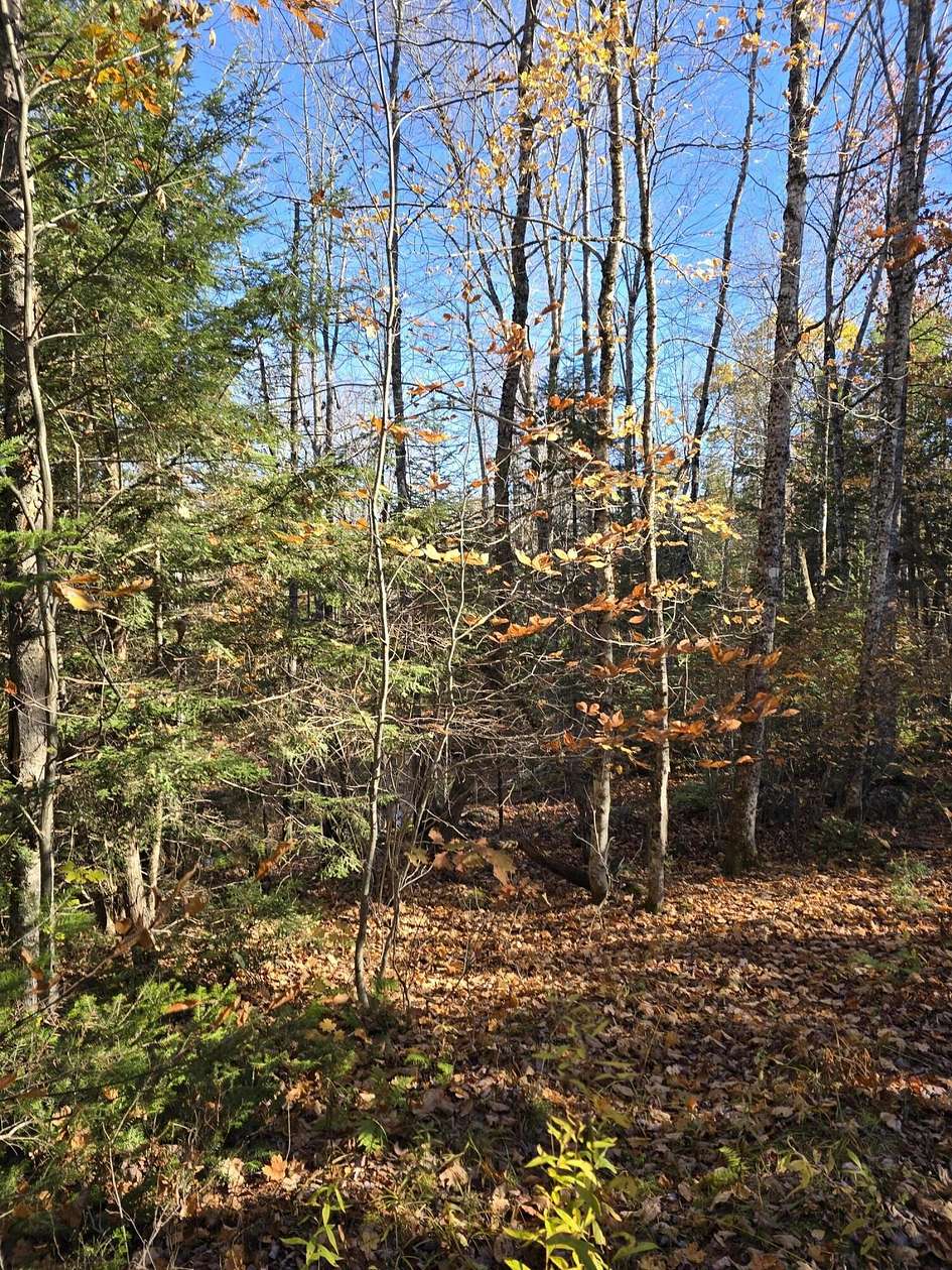 5 Acres of Land for Sale in Atkinson Town, Maine