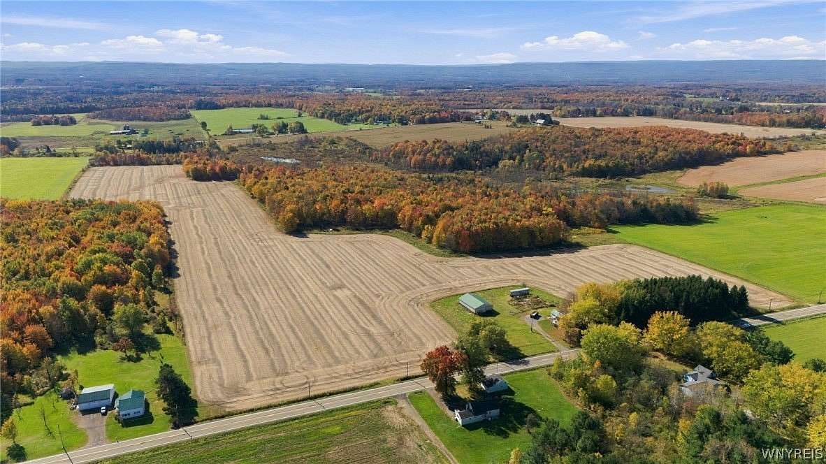 71.4 Acres of Land for Sale in North Collins, New York
