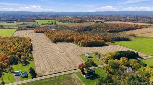 71.4 Acres of Land for Sale in North Collins, New York