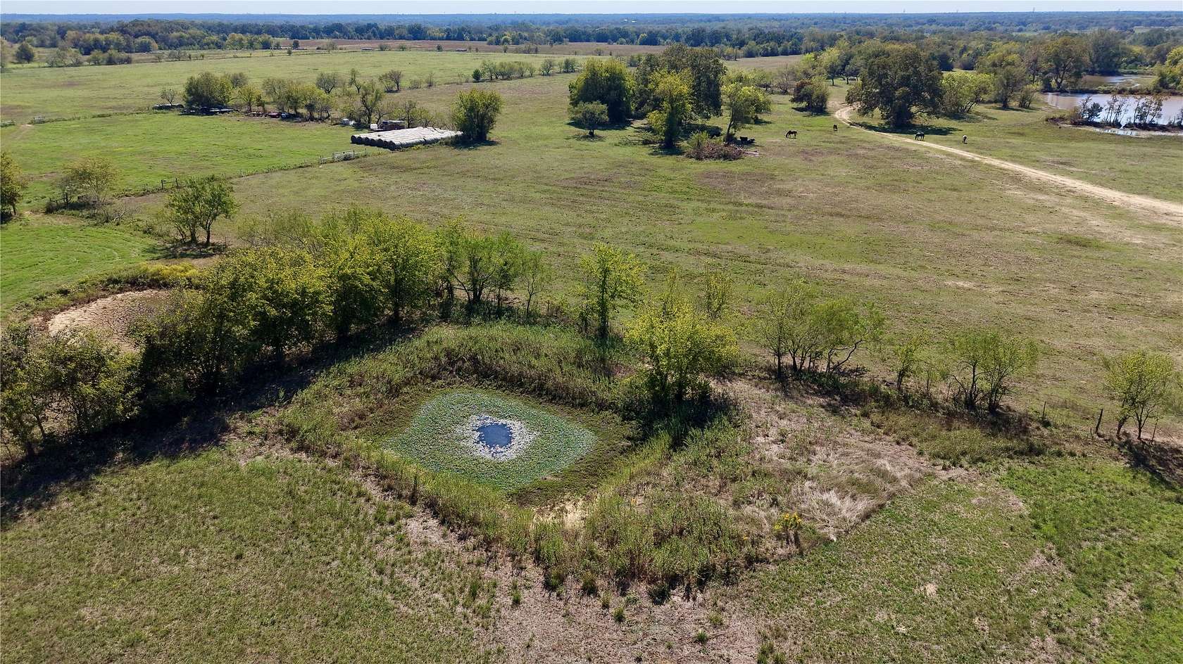 2 Acres of Residential Land for Sale in Wortham, Texas