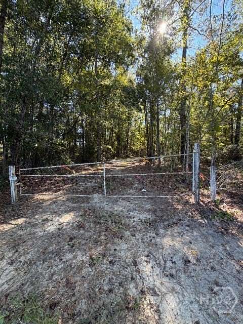 39.7 Acres of Recreational & Residential Land for Sale in Clyo, Georgia