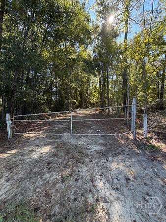 39.7 Acres of Recreational & Residential Land for Sale in Clyo, Georgia