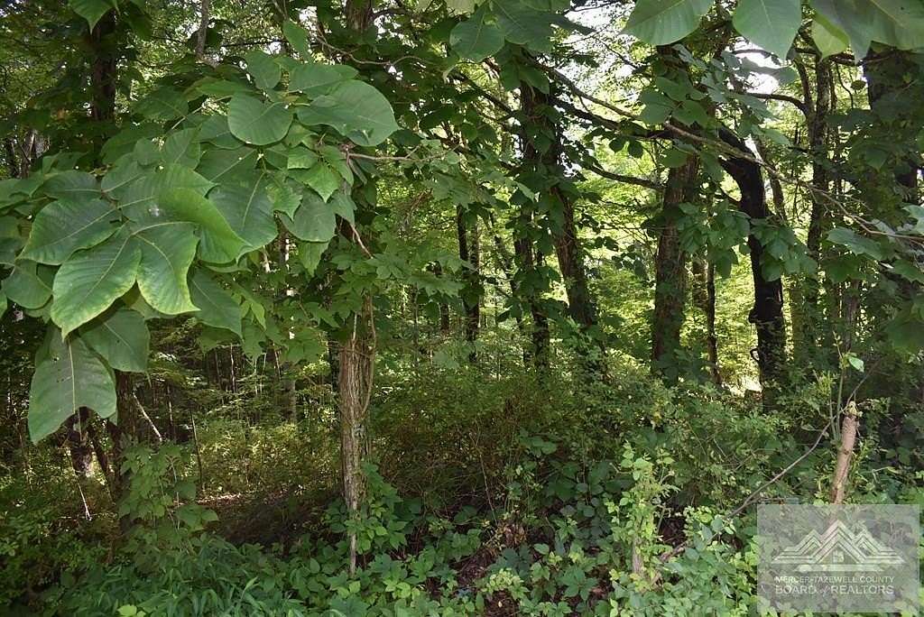 0.48 Acres of Residential Land for Sale in North Tazewell, Virginia