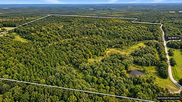 87 Acres of Recreational Land for Sale in Palmersville, Tennessee