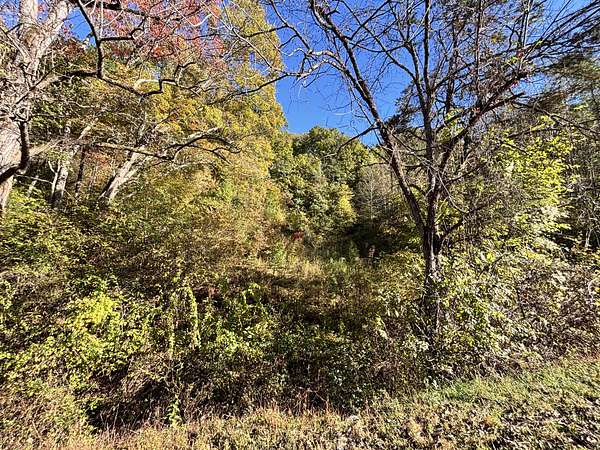 5 Acres of Residential Land for Sale in Sevierville, Tennessee