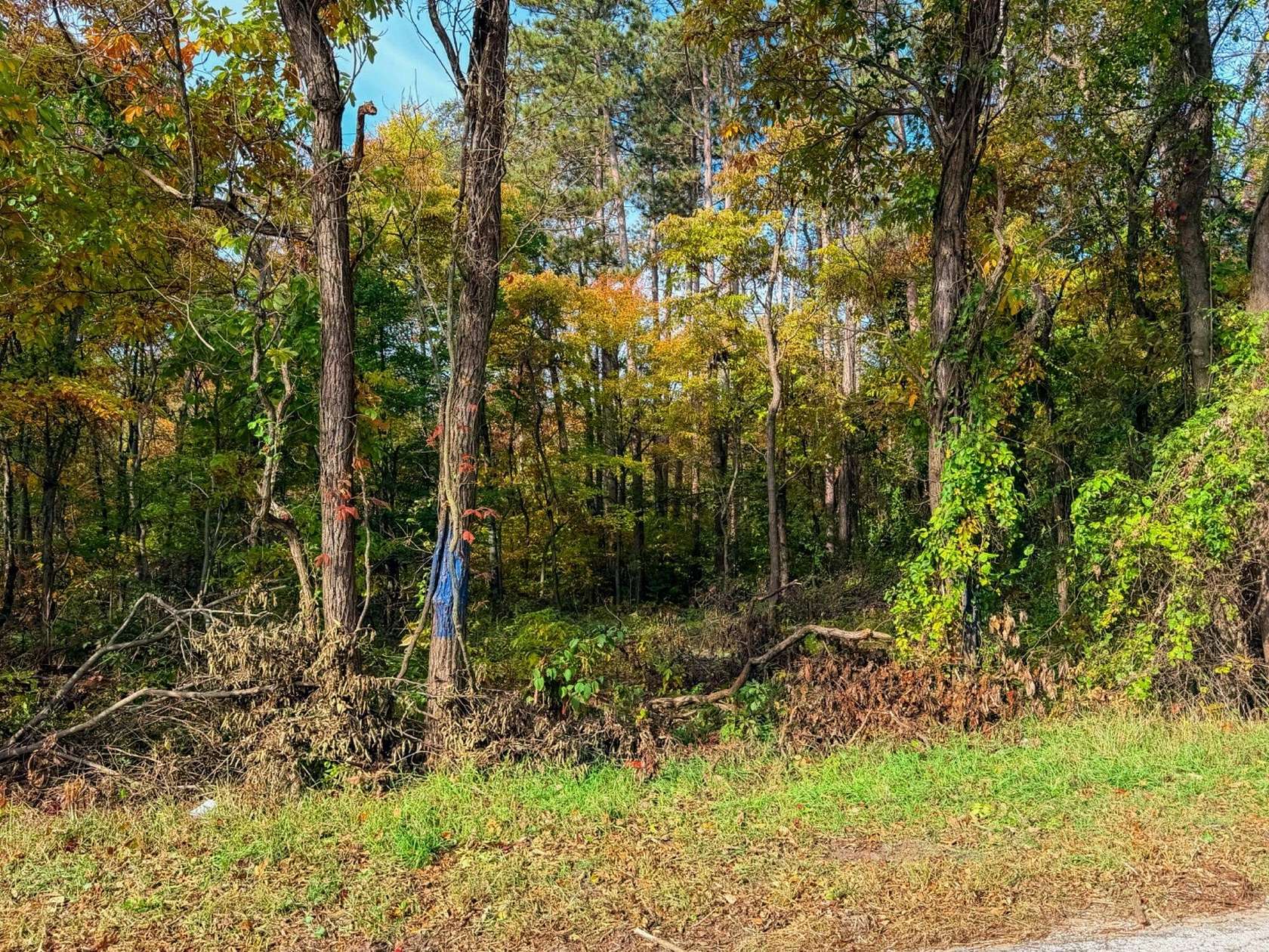 6 Acres of Residential Land for Sale in Knox, Indiana