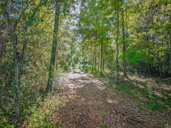 1.47 Acres of Residential Land for Sale in Crawfordville, Florida