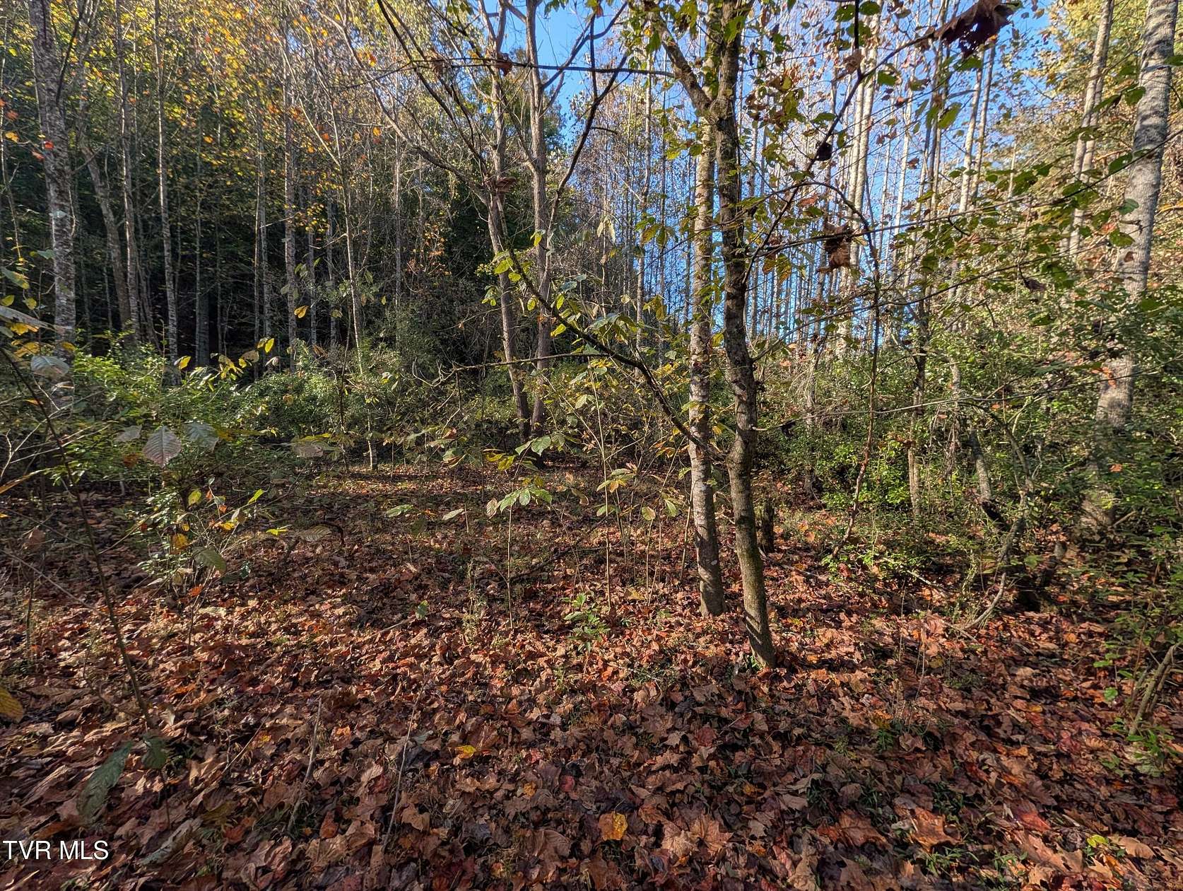 5 Acres of Land for Sale in Fort Blackmore, Virginia