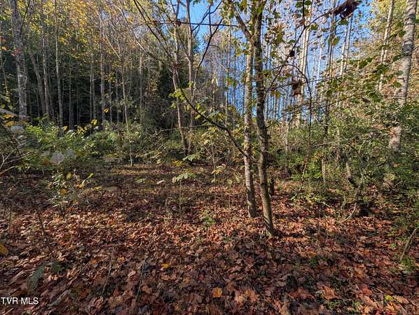 5 Acres of Land for Sale in Fort Blackmore, Virginia