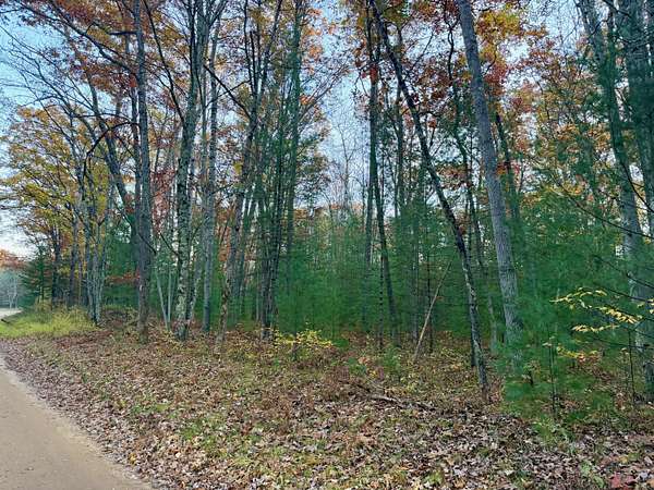 3.23 Acres of Residential Land for Sale in Irons, Michigan