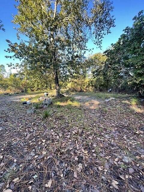 22.9 Acres of Recreational Land for Sale in Wagener, South Carolina