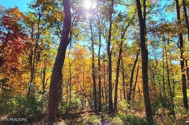 1.17 Acres of Residential Land for Sale in Sevierville, Tennessee