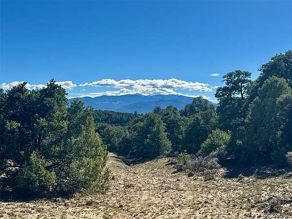 36 Acres of Recreational Land for Sale in San Luis, Colorado