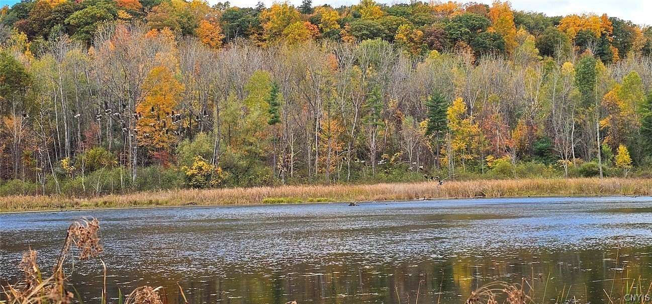 26 Acres of Recreational Land for Sale in Burdett, New York