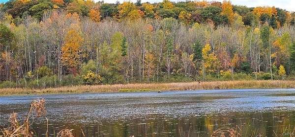 26 Acres of Recreational Land for Sale in Burdett, New York