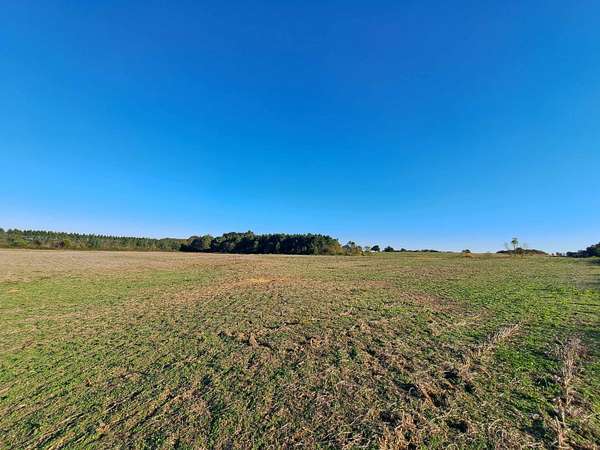 11 Acres of Land for Sale in Rogersville, Alabama