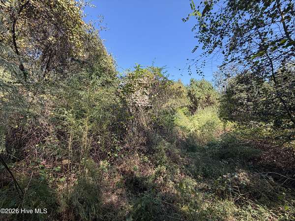 15 Acres of Recreational & Residential Land for Sale in Clinton, North Carolina